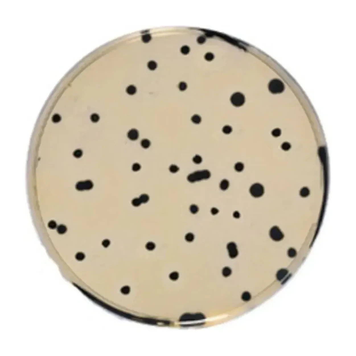 Iron-Sulfite Agar 500 G