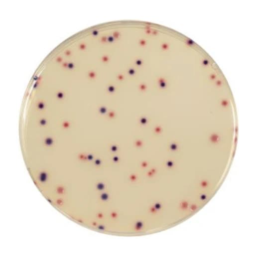 Compass Ecc Agar 500 G