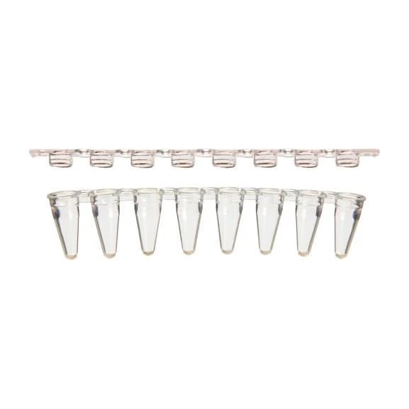 Tiras de 8 Tubos 0,1 ml QPCR, LP Cx 125