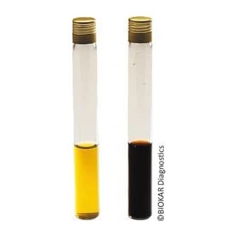 Ferric Ammonium Citrate 5% 10x90 ml