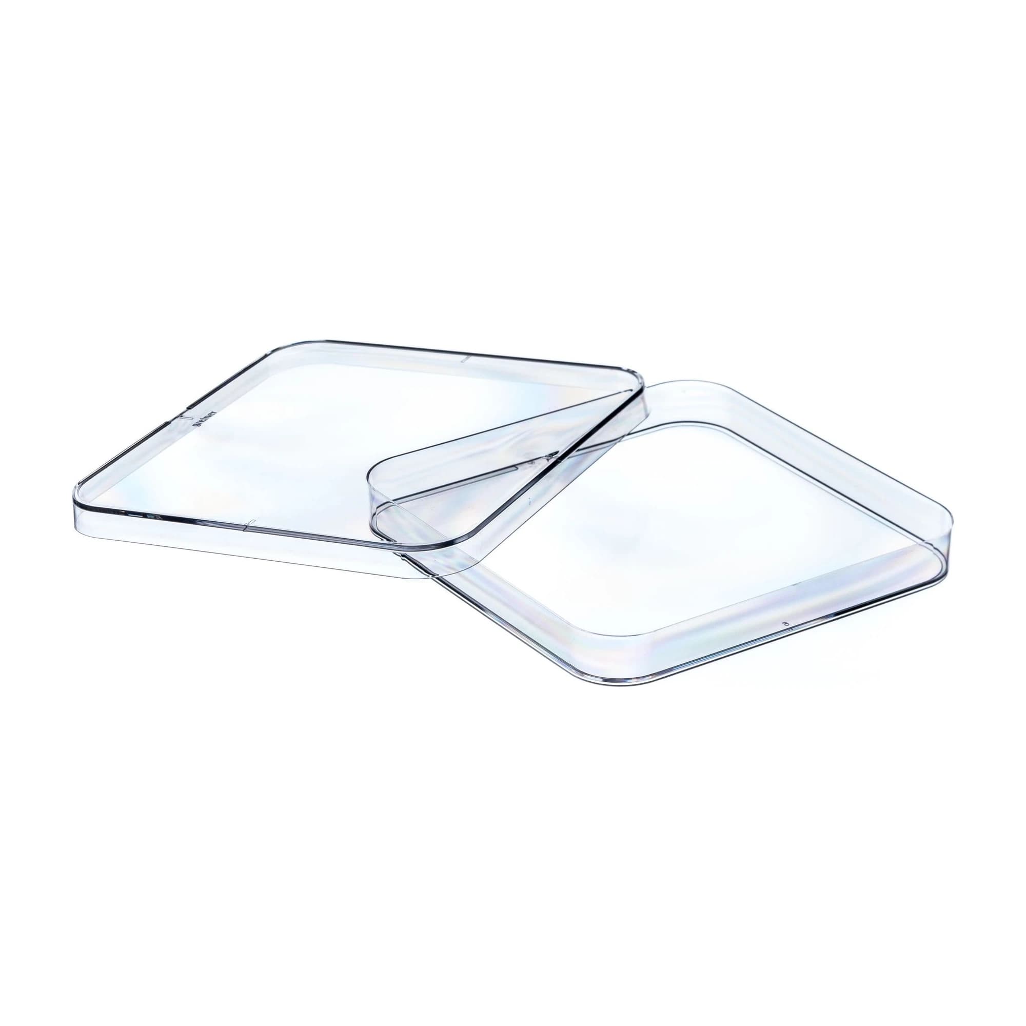 Placa Petri Quadrada 120x120x17 mm, Estéril Cx 240